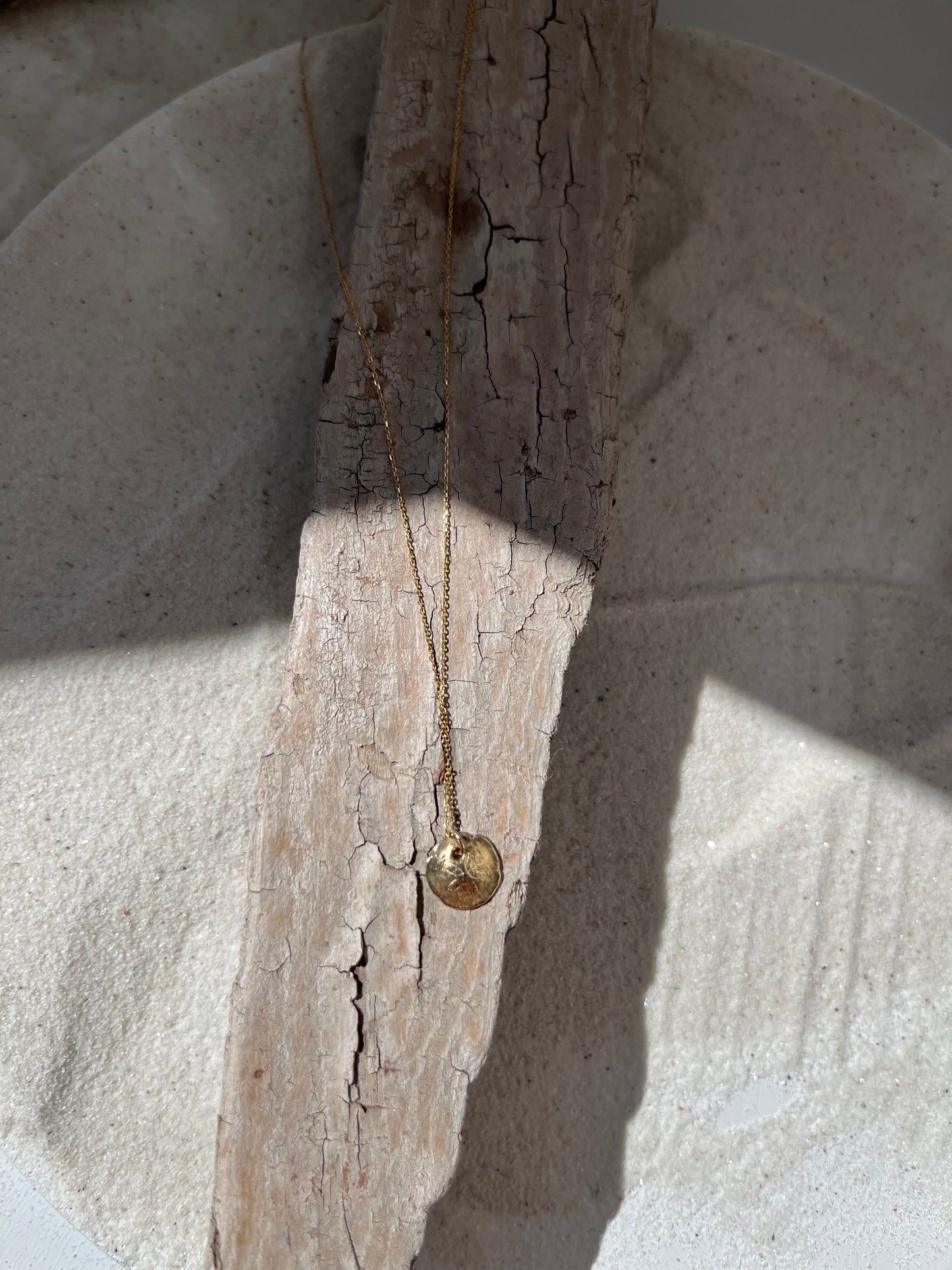 Gold and Diamond Reversible Sand Dollar Pendant